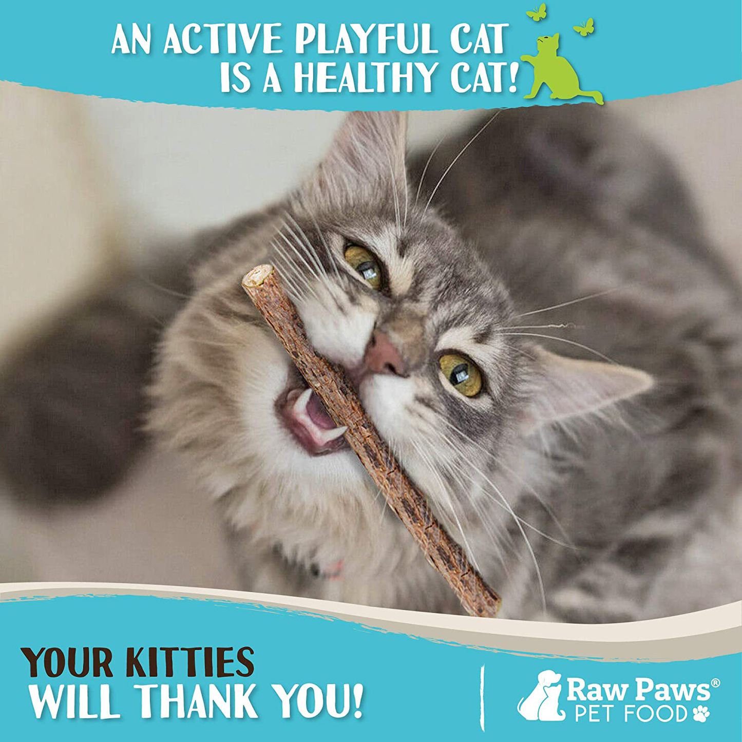 Raw Paws Natural Matatabi Cat Stick Treat - Unprocessed, Safe & Healthy - Cat Silvervine Sticks for Cats of All Ages - Natural Catnip Chew Sticks - Silvervine Cat Toy - Catnip Sticks for Cats Animals & Pet Supplies > Pet Supplies > Cat Supplies > Cat Toys Raw Paws   