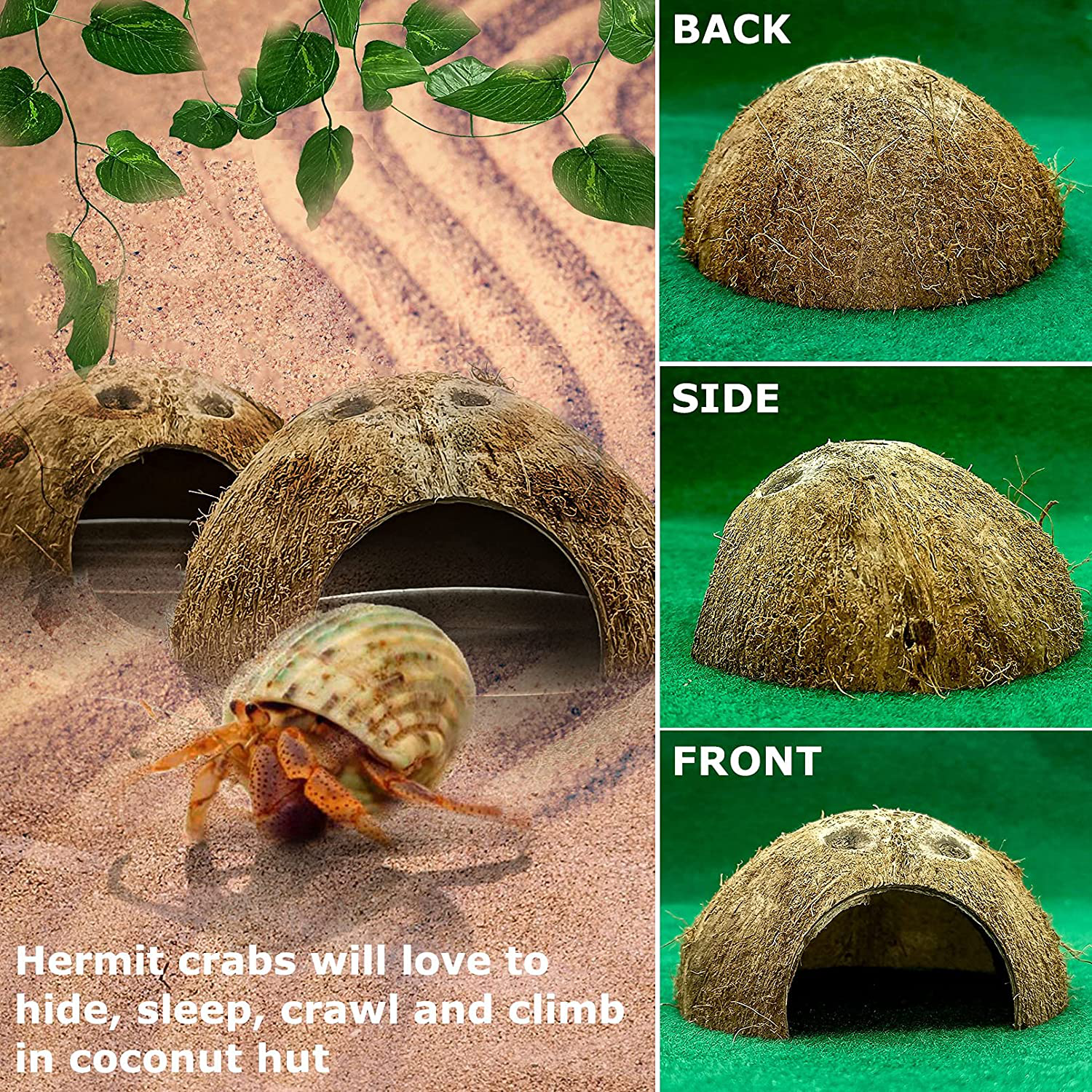 Hamiledyi Reptile Hideouts Natural Coconut Shells Hut Small Animal Hide Cave Hermit Crab Climbing Toys Lizard Habitat Decor Plant Leaves Decoration for Gecko Spider Snake Chameleon (4Pcs) Animals & Pet Supplies > Pet Supplies > Small Animal Supplies > Small Animal Habitat Accessories Hamiledyi   