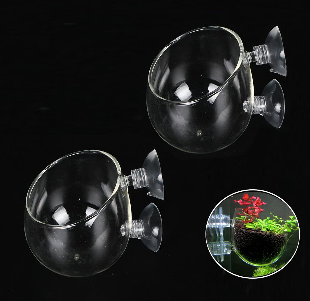 Fashionclubs Crystal Glass Aquatic Plant Cup Pot Holder, Aquarium Tank Live Plant Glass Pot Red Shrimp Holder with 2 Suckers,Fish Tank Aquascape Decor,2-Pack Animals & Pet Supplies > Pet Supplies > Fish Supplies > Aquarium Gravel & Substrates Fashionclubs   