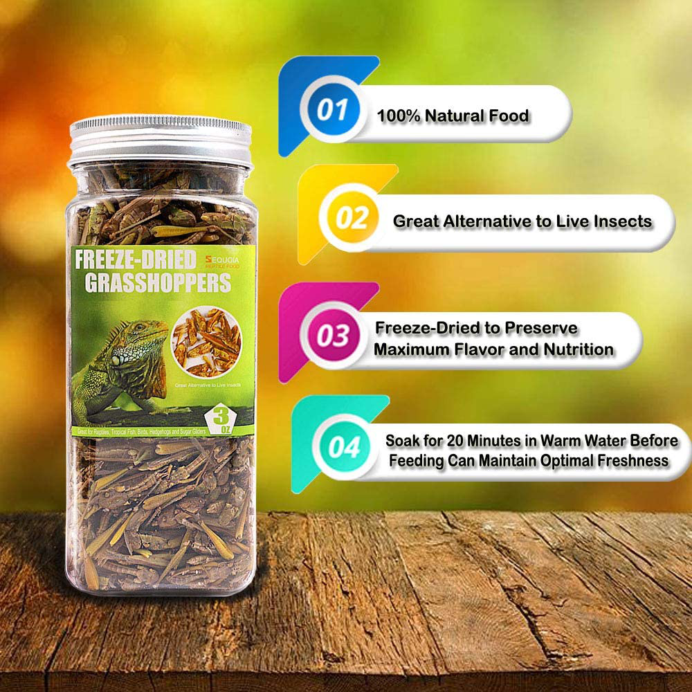 Sequoia Freeze Dried Grasshopper Reptile Food for Turtles, Bearded Dragon, Hedgehog,Lizard, Chameleon, Birds Animals & Pet Supplies > Pet Supplies > Reptile & Amphibian Supplies > Reptile & Amphibian Food Sequoia   