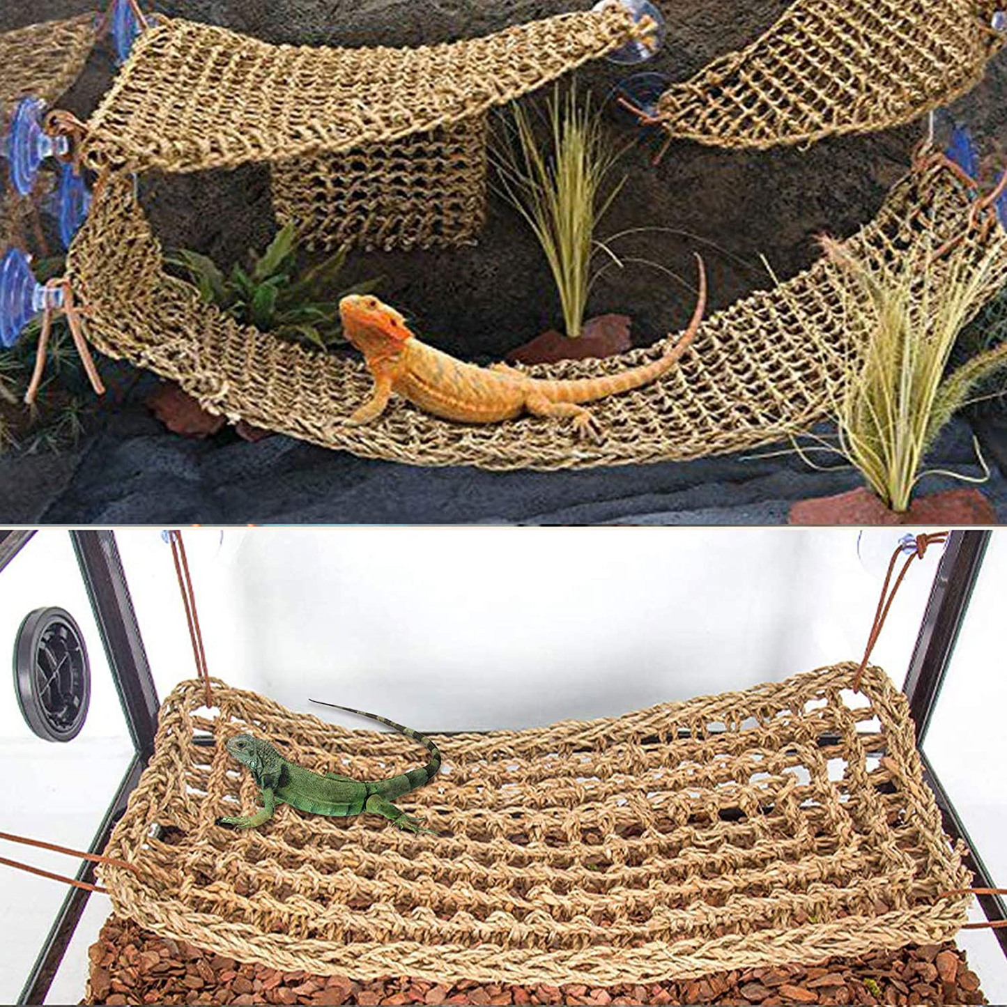 PINVNBY Bearded Dragon Tank Accessories,Reptiles Resin Human Skull Habitat Decor,Lizard Hammock Coconut Shell Hut Hideouts Cave Jungle Climber Vines Leaves Decorations for Chameleon Snake Spider Gecko Animals & Pet Supplies > Pet Supplies > Reptile & Amphibian Supplies > Reptile & Amphibian Habitat Accessories PINVNBY   