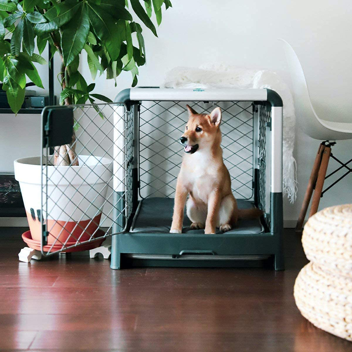Diggs Revol Dog Crate (Collapsible Dog Crate, Portable Dog Crate, Travel Dog Crate, Dog Kennel) for Small and Medium Dogs and Puppies Animals & Pet Supplies > Pet Supplies > Dog Supplies > Dog Kennels & Runs Diggs   