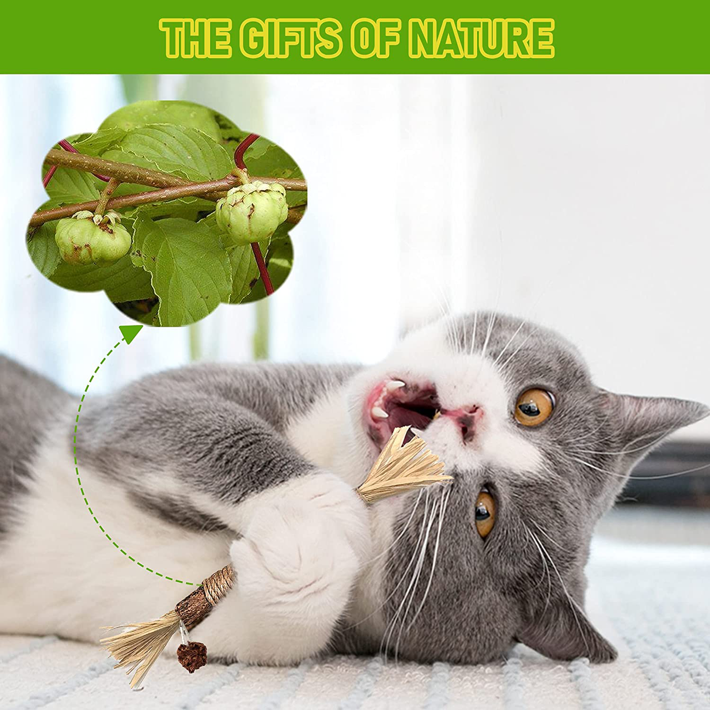 BAWAN Catnip Toys‖ Silvervine for Cats: Cute Cat & Kitten Toys for Indoor Cats Interactive‖ Cat & Kitten Teething Chew Toys for Aggressive Chewers‖ Silvervine Sticks Cat Dental Toy Animals & Pet Supplies > Pet Supplies > Cat Supplies > Cat Toys BAWAN   