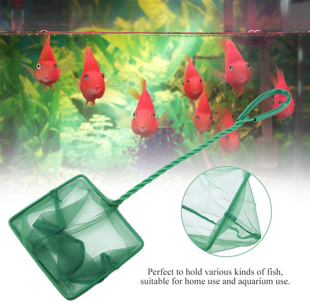 Aquarium Fish Net Brine Shrimp Aquarium Net Betta Goldfish Tropical Fish Catch Net Fish Shrimp Skimming Net Fine Mesh Net Floating Debris Clean Tools for Aquarium Fishbowl Fish Tank Animals & Pet Supplies > Pet Supplies > Fish Supplies > Aquarium Fish Nets Yutiny   