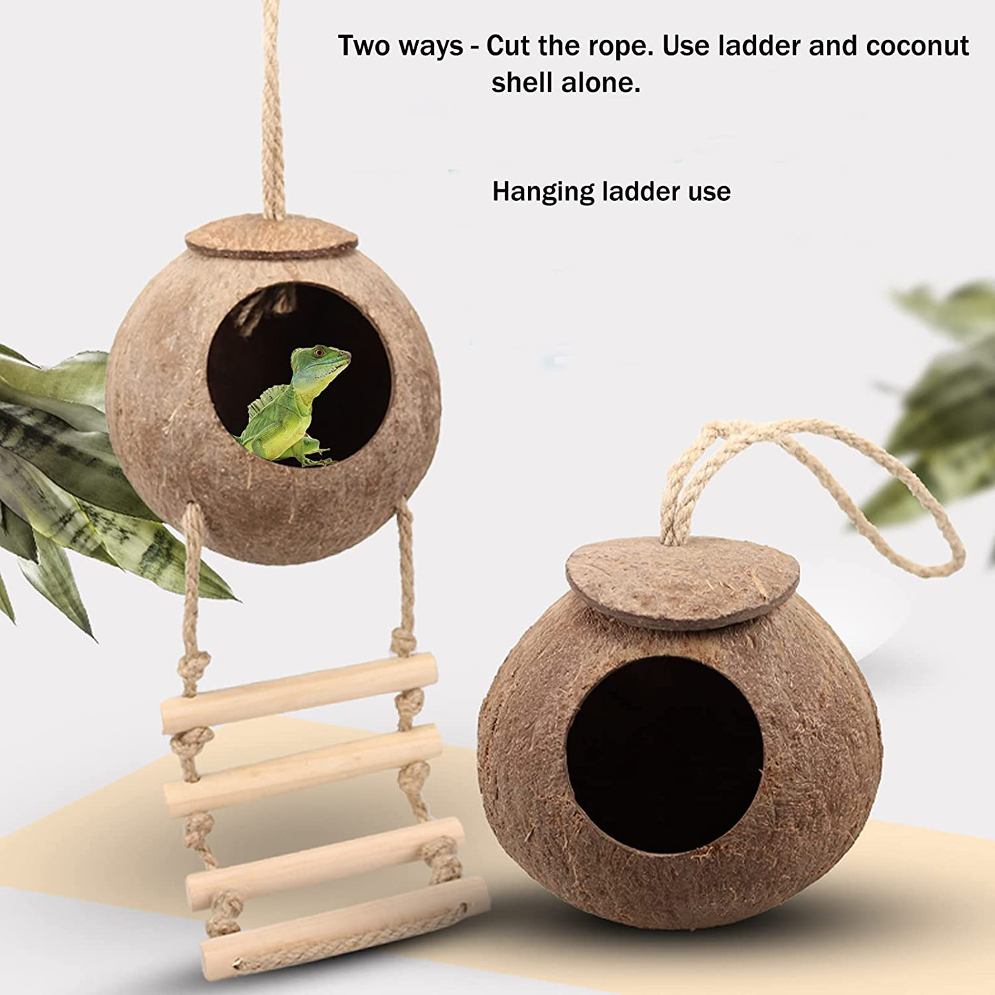 HERCOCCI Leopard Gecko Tank Accessories, Coconut Shell Ladder Hideout Hole Reptile Climbing Vine Habitat Decor with 3 Pieces Colorful Plastic Plants for Chameleon Lizard Snake Hermit Crab Animals & Pet Supplies > Pet Supplies > Reptile & Amphibian Supplies > Reptile & Amphibian Habitat Accessories HERCOCCI   