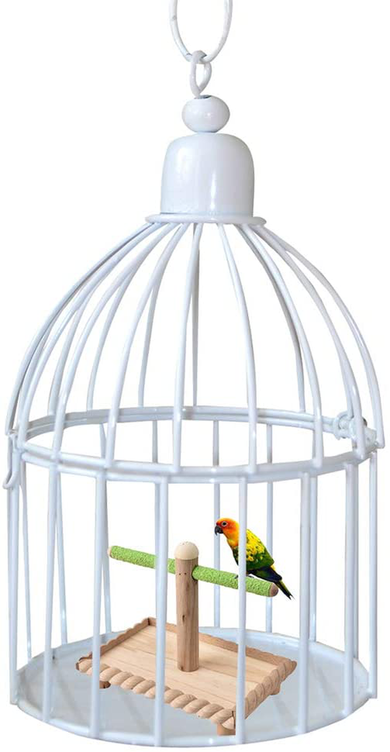 Kathson Bird Tabletop Perch, Parrot Cage Stands Training Play Gym Playground Table Top for Parakeets Lovebirds Budgies Animals & Pet Supplies > Pet Supplies > Bird Supplies > Bird Gyms & Playstands kathson   