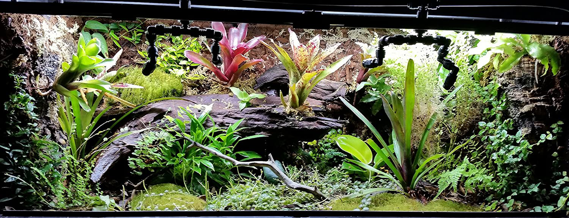 Josh'S Frogs ABG Mix Tropical Plant Soil & Terrarium Vivarium Substrate (4 Quart/1 Gallon) Animals & Pet Supplies > Pet Supplies > Reptile & Amphibian Supplies > Reptile & Amphibian Substrates Josh's Frogs   