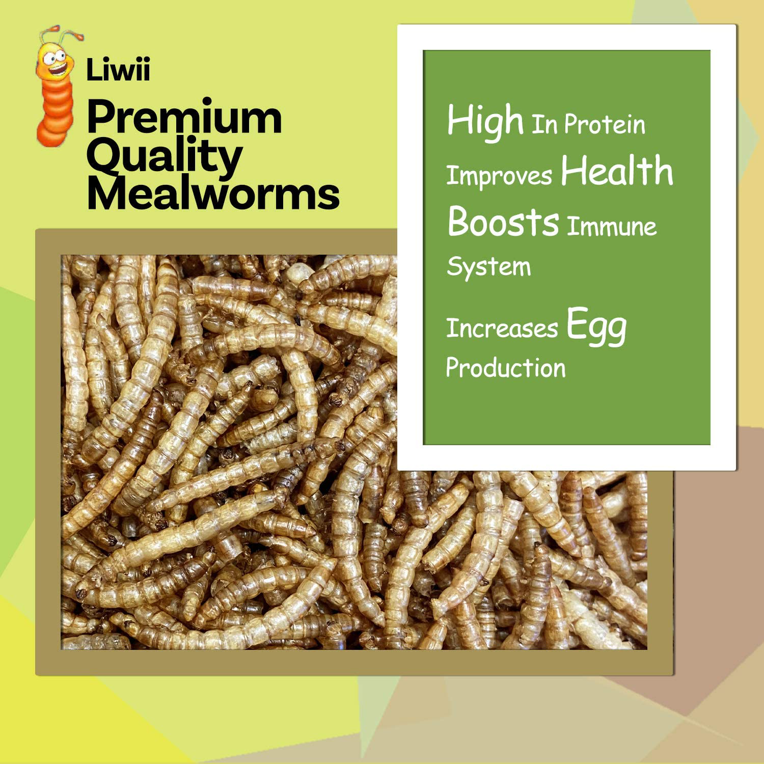 Dried Mealworms -5 LBS- 100% Natural Non GMO High Protein Mealworms - Bulk Mealworms for Wild Birds, Chicken Treats, Hamster Food, Gecko Food, Turtle Food, Lizard Food Animals & Pet Supplies > Pet Supplies > Bird Supplies > Bird Treats Liwii   