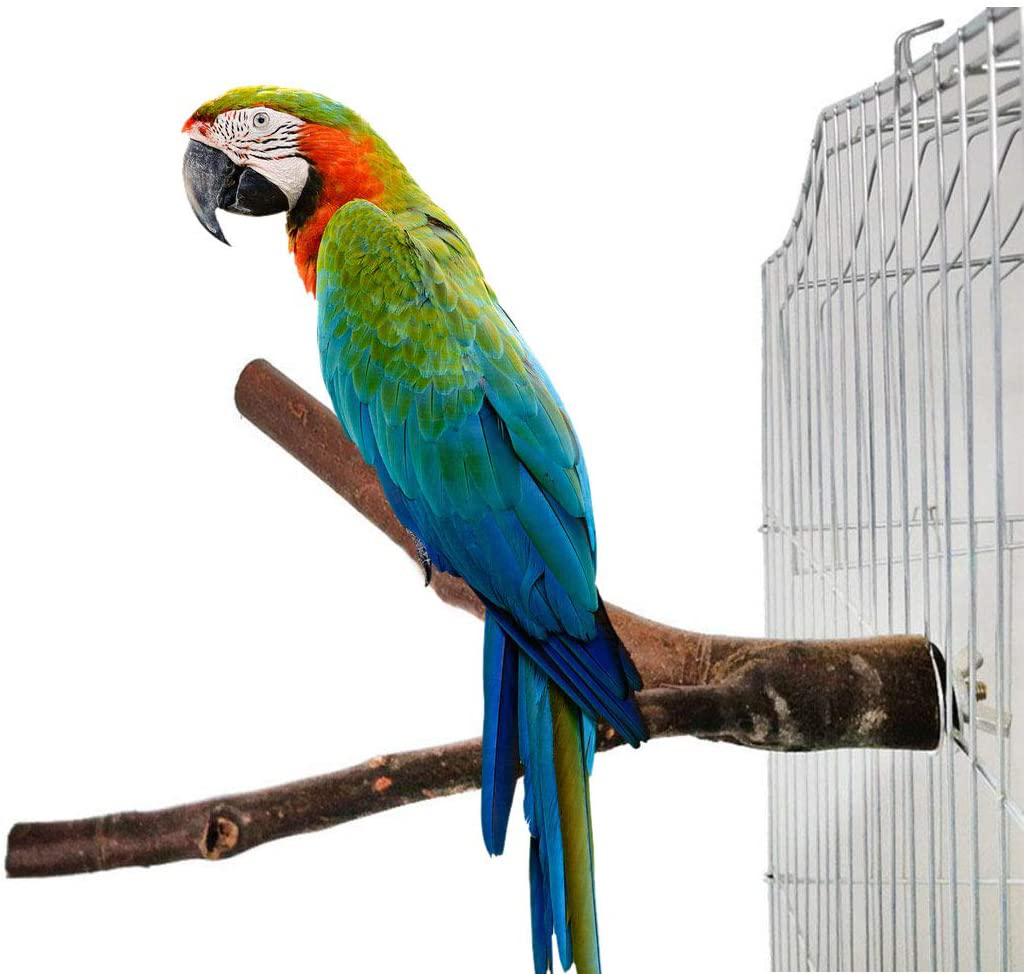Kathson Natural Bird Wood Perch Parakeet Standing Toy Sticks Parrot Paw Grinding Branches Cockatiels Cage Chewable Accessories for Conures Macaws Finches 8 PCS Animals & Pet Supplies > Pet Supplies > Bird Supplies > Bird Cage Accessories kathson   