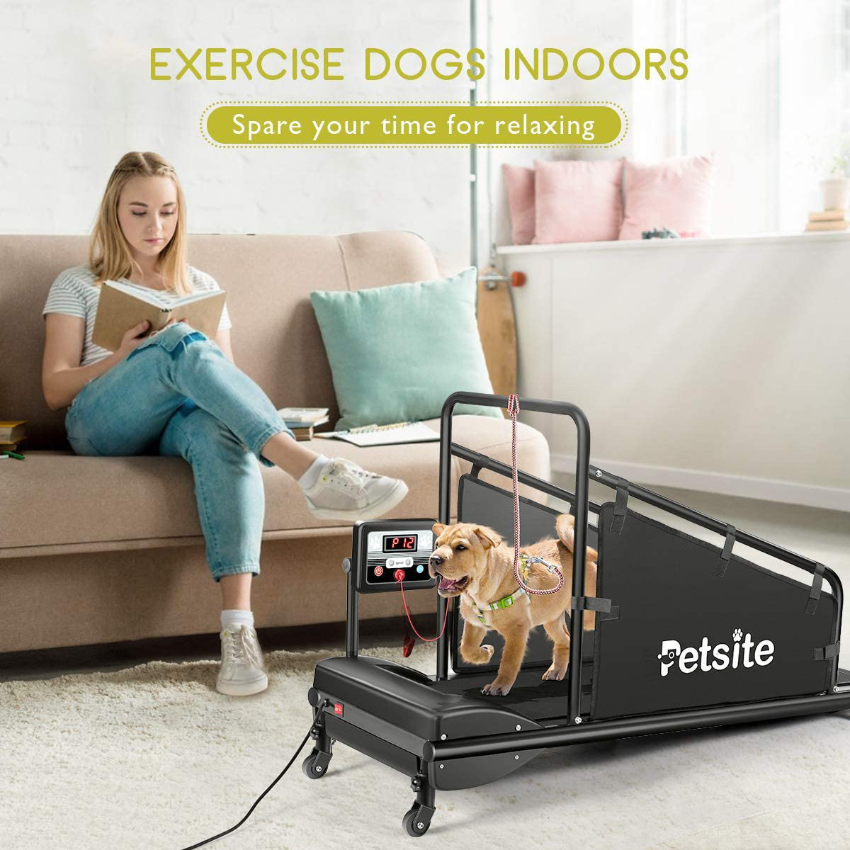 Pet Treadmill Indoor Exercise Pet Exercise Equipment with Remote Control