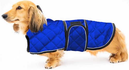 Geyecete Warm Thermal Quilted Dachshund Coat, Dog Winter Coat with Warm Fleece Lining, Outdoor Dog Apparel with Adjustable Bands for Medium, Large Dog Animals & Pet Supplies > Pet Supplies > Dog Supplies > Dog Apparel Geyecete Blue Large 