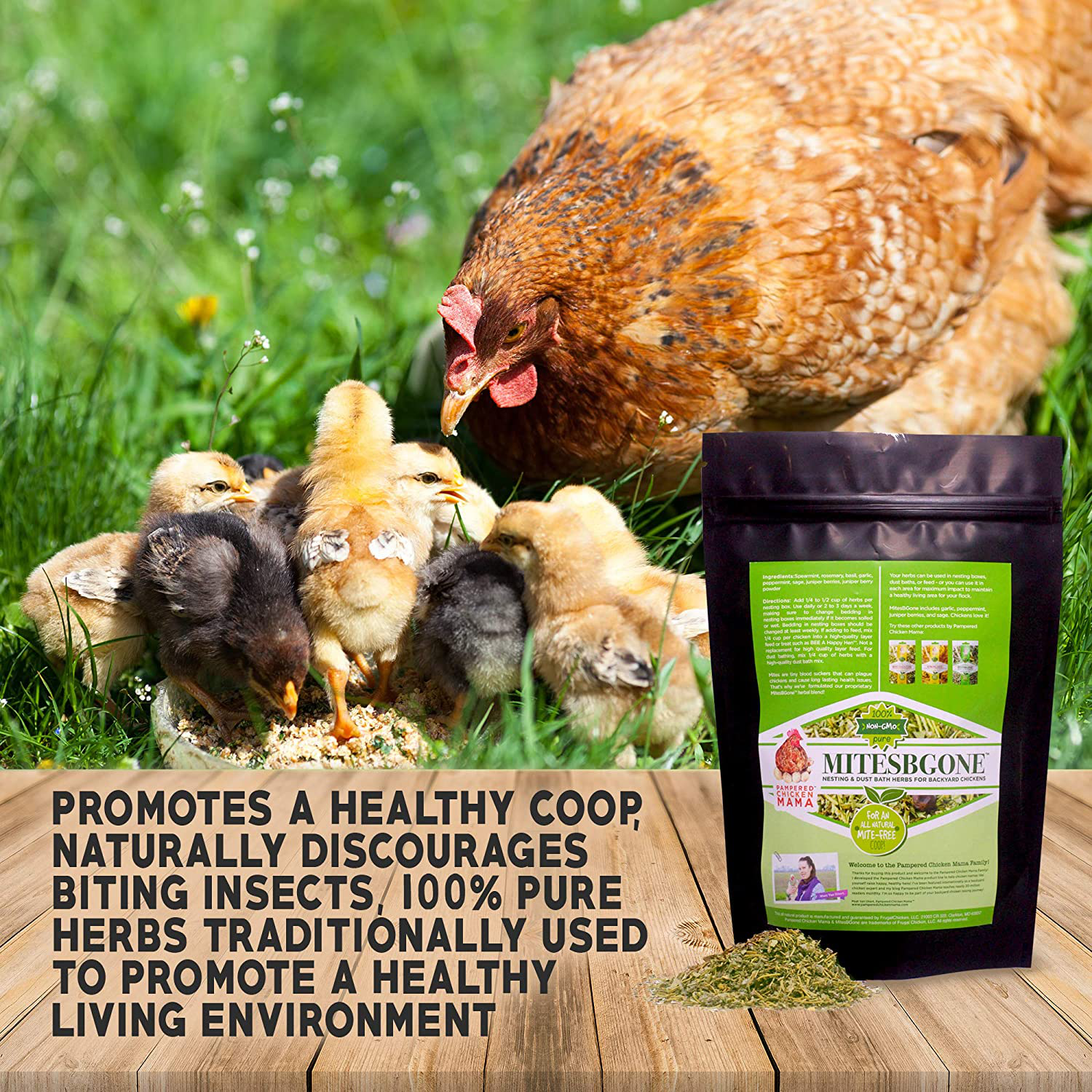 Mitesbgone Backyard Chicken Nesting Herbs - Get Rid of Chicken Mites and Lice Naturally Animals & Pet Supplies > Pet Supplies > Bird Supplies > Bird Treats Pampered Chicken Mama   