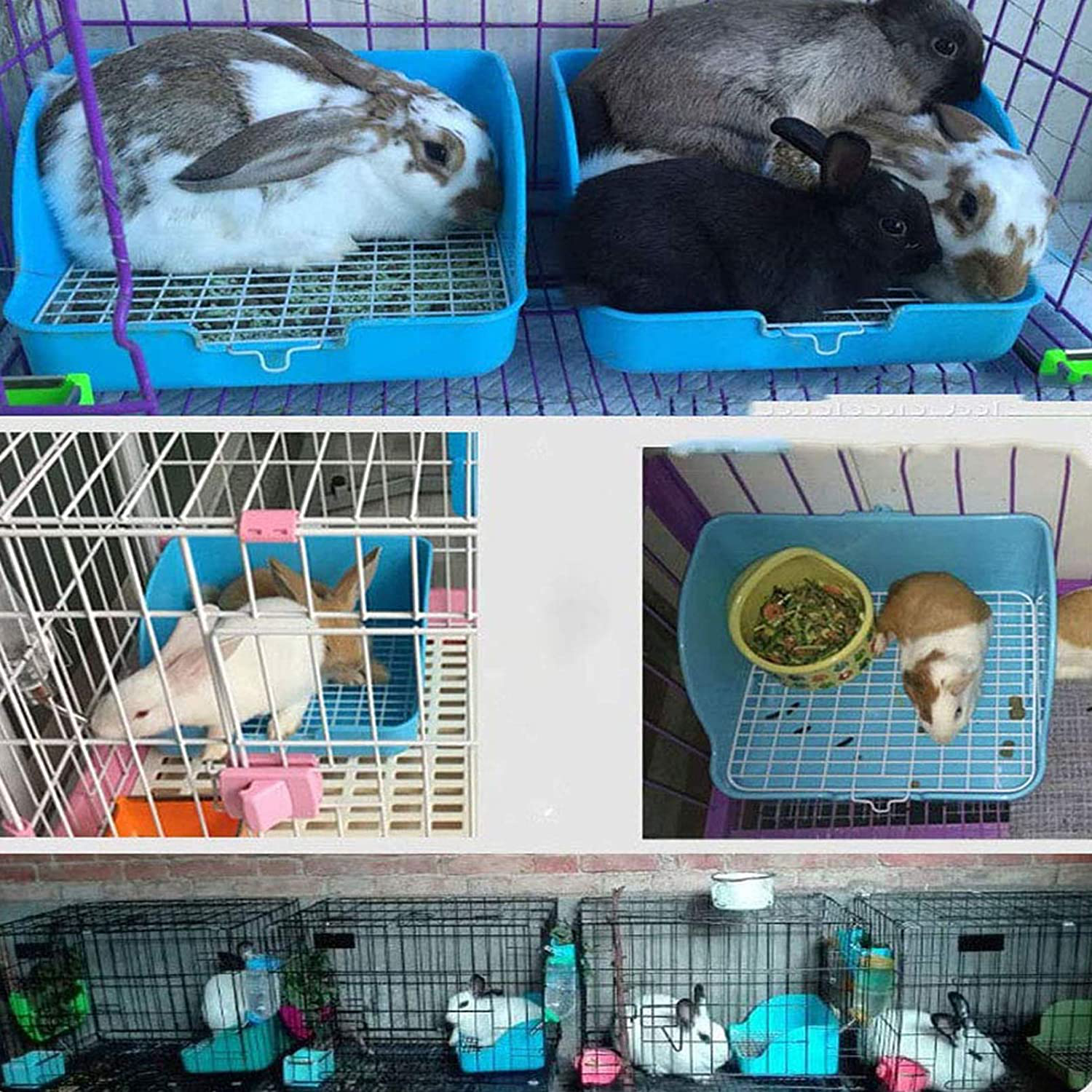 Rabbit Litter Box Small Animal Toilet Bunny Water Bottle 17Oz Hanging Water Fountain Automatic Dispenser Square Cage Bedding Box Rat Potty Trainer Corner Pet Pan for Guinea Pigs,Chinchilla,Ferret Animals & Pet Supplies > Pet Supplies > Small Animal Supplies > Small Animal Bedding Hamiledyi   