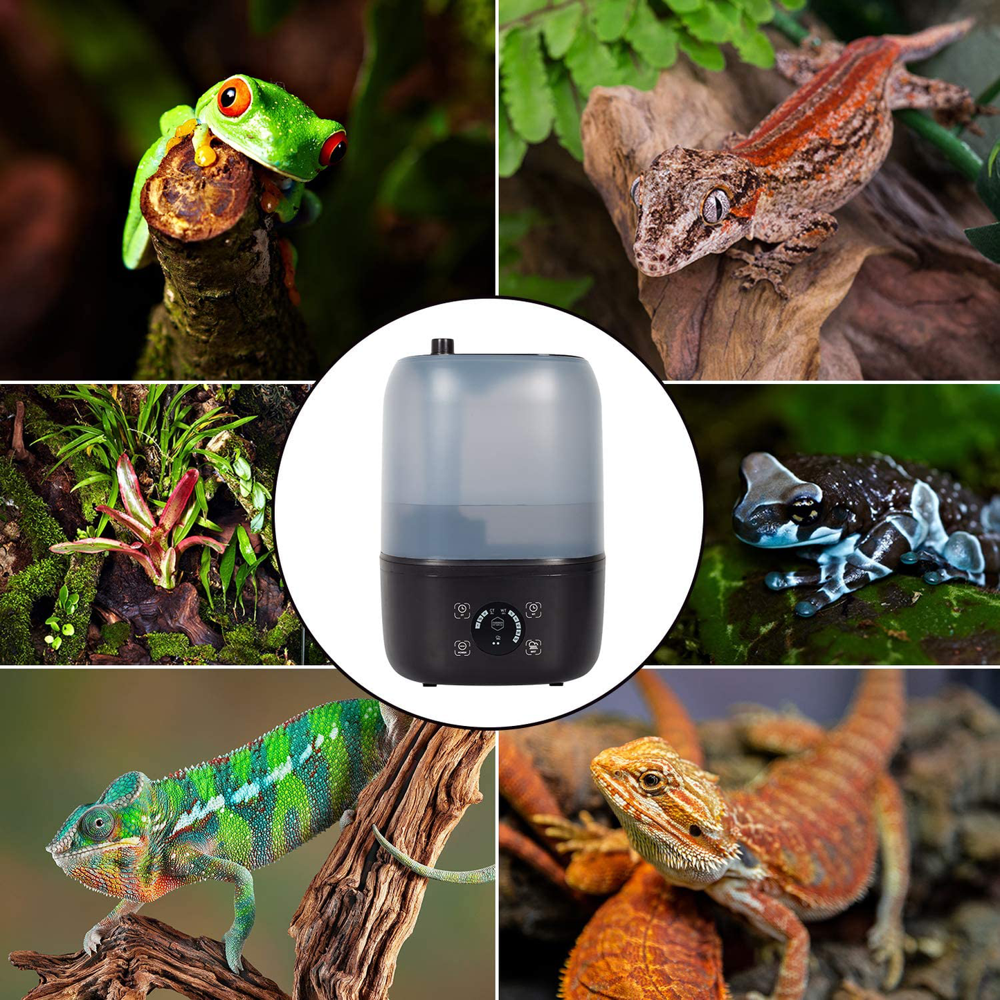 Reptile Humidifier/Fogger - 4L Tank - New Digital Timer - Add Water from Top! for Reptiles/Amphibians/Herps - Compatible with All Terrariums and Enclosures