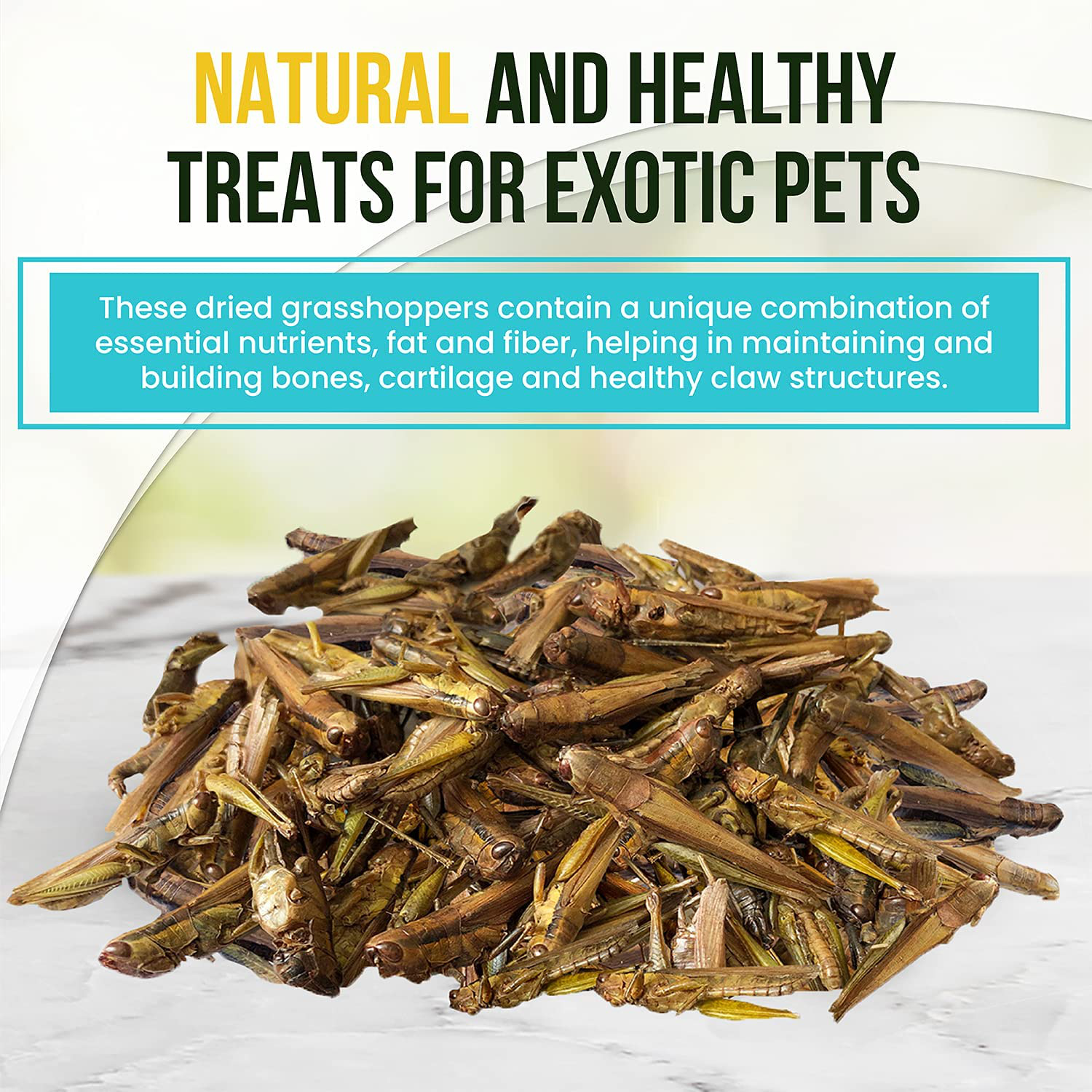 Repticasa Dried Grasshoppers Turtle Food – 1Lb Reptile Food Ideal for Bearded Dragons, Hedgehogs, Lizards, Chameleons, Birds – Rich in Protein – Natural and Healthy Treats for Exotic Pets Animals & Pet Supplies > Pet Supplies > Reptile & Amphibian Supplies > Reptile & Amphibian Food ReptiCasa   