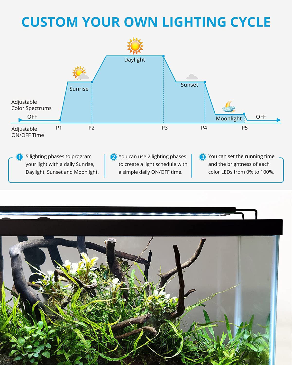 NICREW RGB+W 24/7 LED Aquarium Light with Remote Controller, Full Spectrum Fish Tank Light for Planted Freshwater Tanks, Planted Aquarium Light with Extendable Brackets Animals & Pet Supplies > Pet Supplies > Fish Supplies > Aquarium Lighting NICREW   