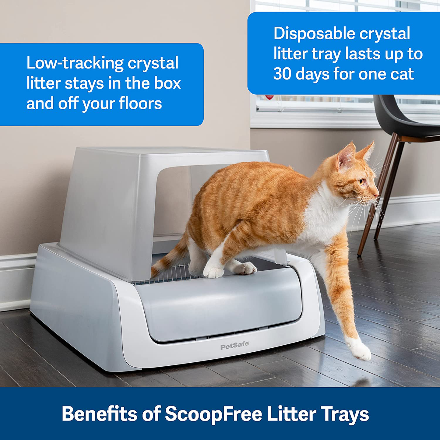Petsafe Scoopfree Cat Litter Crystal Tray Refills for Scoopfree Self-Cleaning Cat Litter Boxes - 6-Pack - Non-Clumping, Less Mess, Odor Control - Available in Original Blue, Lavender, or Sensitive Animals & Pet Supplies > Pet Supplies > Cat Supplies > Cat Litter PetSafe   