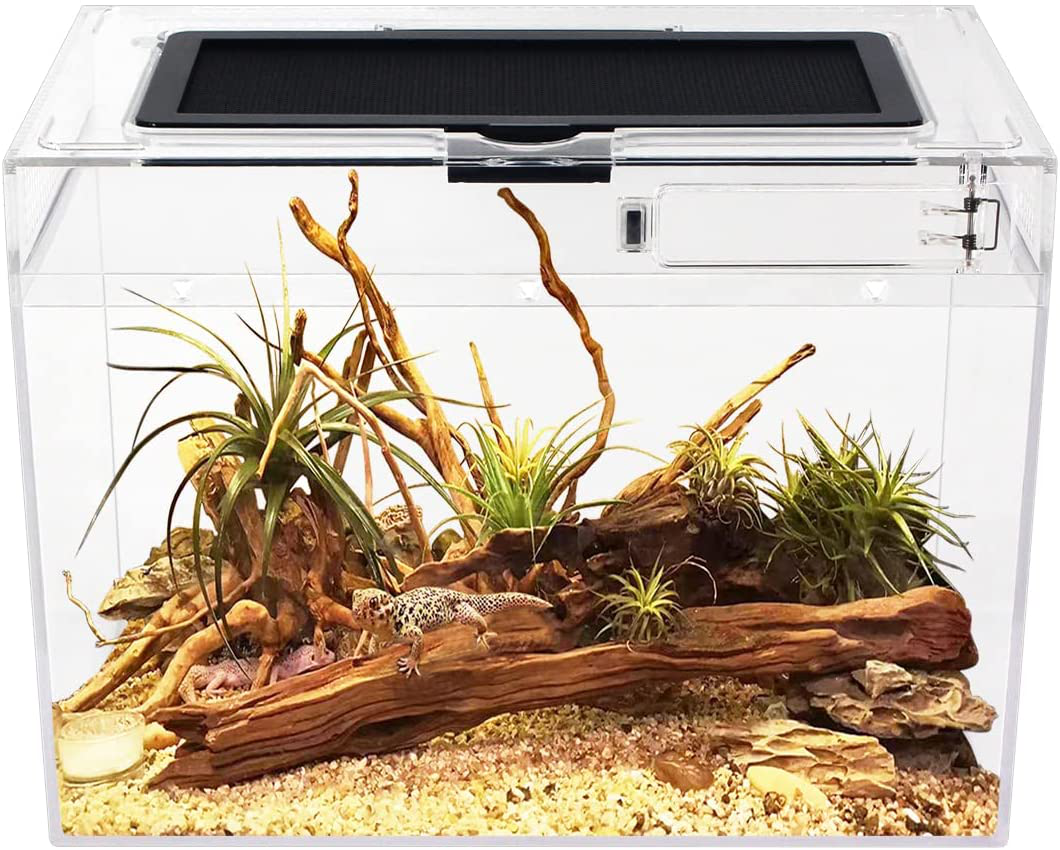 Reptile Growth Reptile Terrarium, 12" X 7"X 9" Reptile Tank with Full View Visually Appealing,Crystal Explosion Proof PC Mini Reptile Habitat Cages for Reptiles and Amphibians. Animals & Pet Supplies > Pet Supplies > Reptile & Amphibian Supplies > Reptile & Amphibian Habitat Accessories Reptile Growth   
