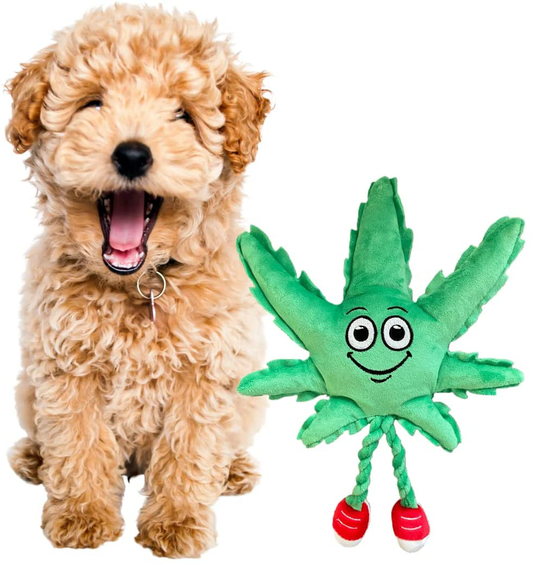 PAW:20 MJ the Weed Leaf 420 Dog Toy Animals & Pet Supplies > Pet Supplies > Dog Supplies > Dog Toys PAW:20   