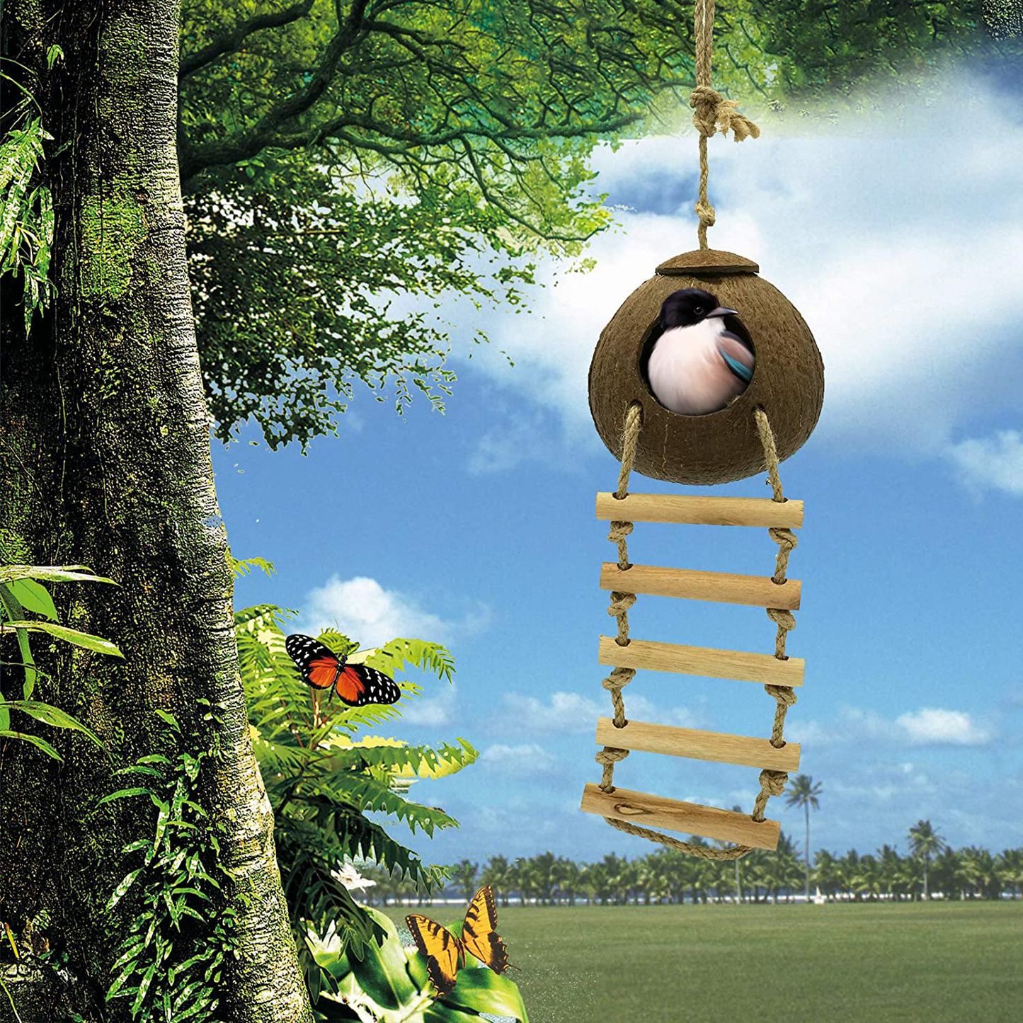 Seaokais Natural Coconut Shell Hideaway with Ladder Hamster Toys Bird Nest for Cages Toy House Ideal for Parakeets Geckos Hamster Animals & Pet Supplies > Pet Supplies > Bird Supplies > Bird Cages & Stands Seaokais   