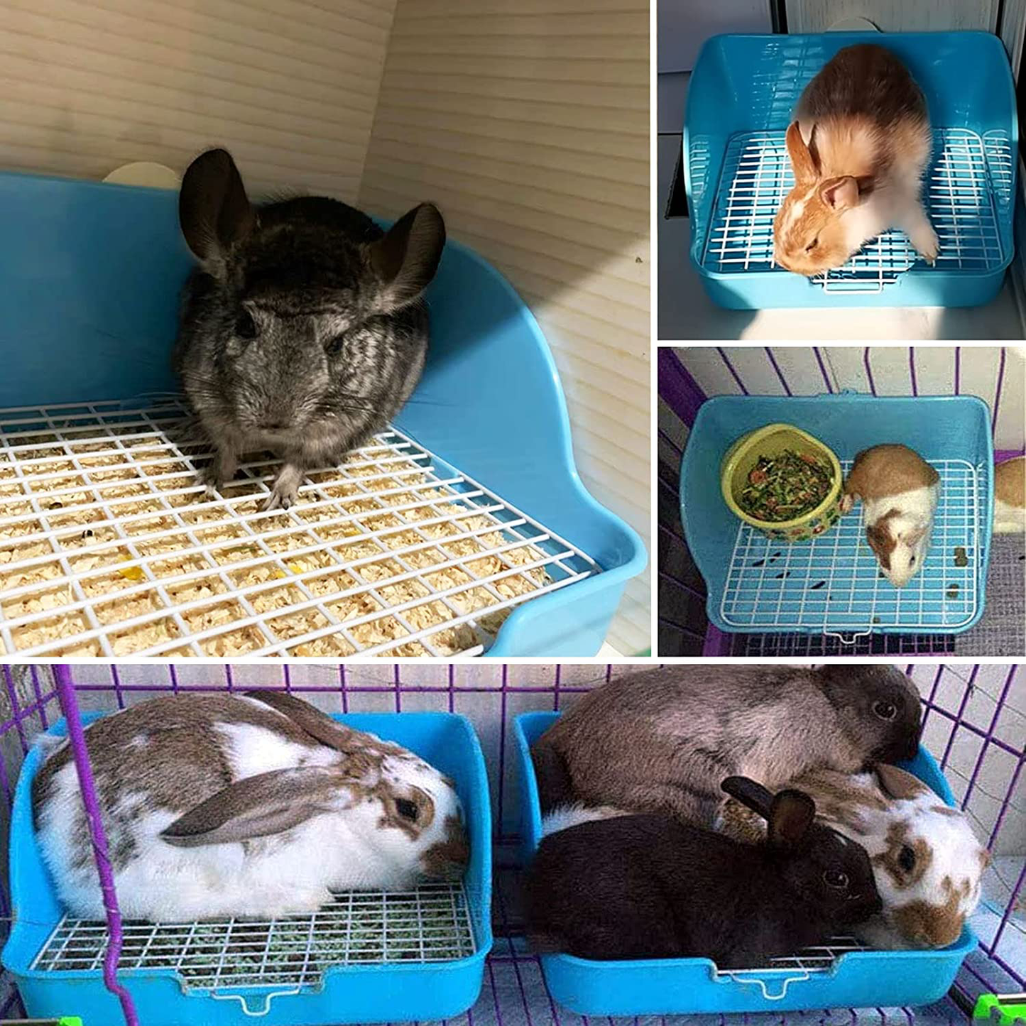 Kathson Rabbit Litter Box Toilet Pet Potty Trainer Cage Corner Tray Pan Litter Bedding Box Hanging Water Fountain Automatic Dispenser for Adult Guinea Pigs Rabbits Hamster Chinchilla Ferret Animals & Pet Supplies > Pet Supplies > Small Animal Supplies > Small Animal Bedding kathson   