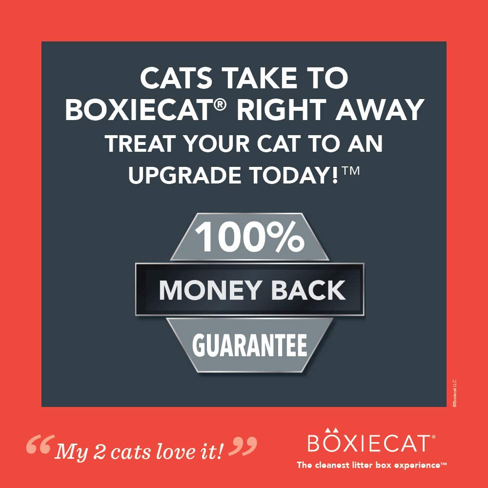 Boxiecat Extra Strength Premium Clumping Cat Litter - Clay Formula - Scent Free Multicat - Ultra Clean Litter Box, Probiotic Powered Odor Control, Hard Clumping Litter, 99.9% Dust Free Animals & Pet Supplies > Pet Supplies > Cat Supplies > Cat Litter Boxiecat   