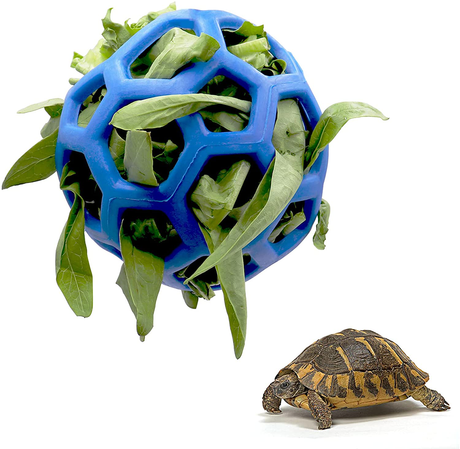 Tortoise Treat Ball Toy Hay Feeder Ball Hanging Feeding Grass Ball Fruit Vegetable Feeder Holder Foraging Toy for Small Animals Pet Tortoise Turtle Animals & Pet Supplies > Pet Supplies > Small Animal Supplies > Small Animal Habitat Accessories Tirifer Blue  