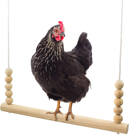 Backyard Barnyard Chicken Swing Toy for Coop (Round Bar) Handmade in USA! Natural Safe Large Wood Perch Ladder for Poultry Run Rooster Hens Chicks Pet Parrots Pollo Stress Relief for Birds Animals & Pet Supplies > Pet Supplies > Bird Supplies > Bird Ladders & Perches Backyard Barnyard   