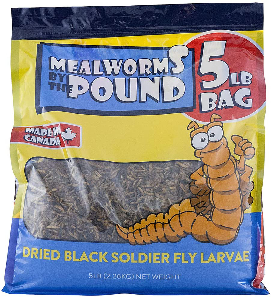 North American Grown Dried Black Soldier Fly Larva (5 Lbs) - More Calcium than Mealworms - Treats for Chickens, Wild Birds, & Reptiles Animals & Pet Supplies > Pet Supplies > Bird Supplies > Bird Treats Mealworms by the Pound   