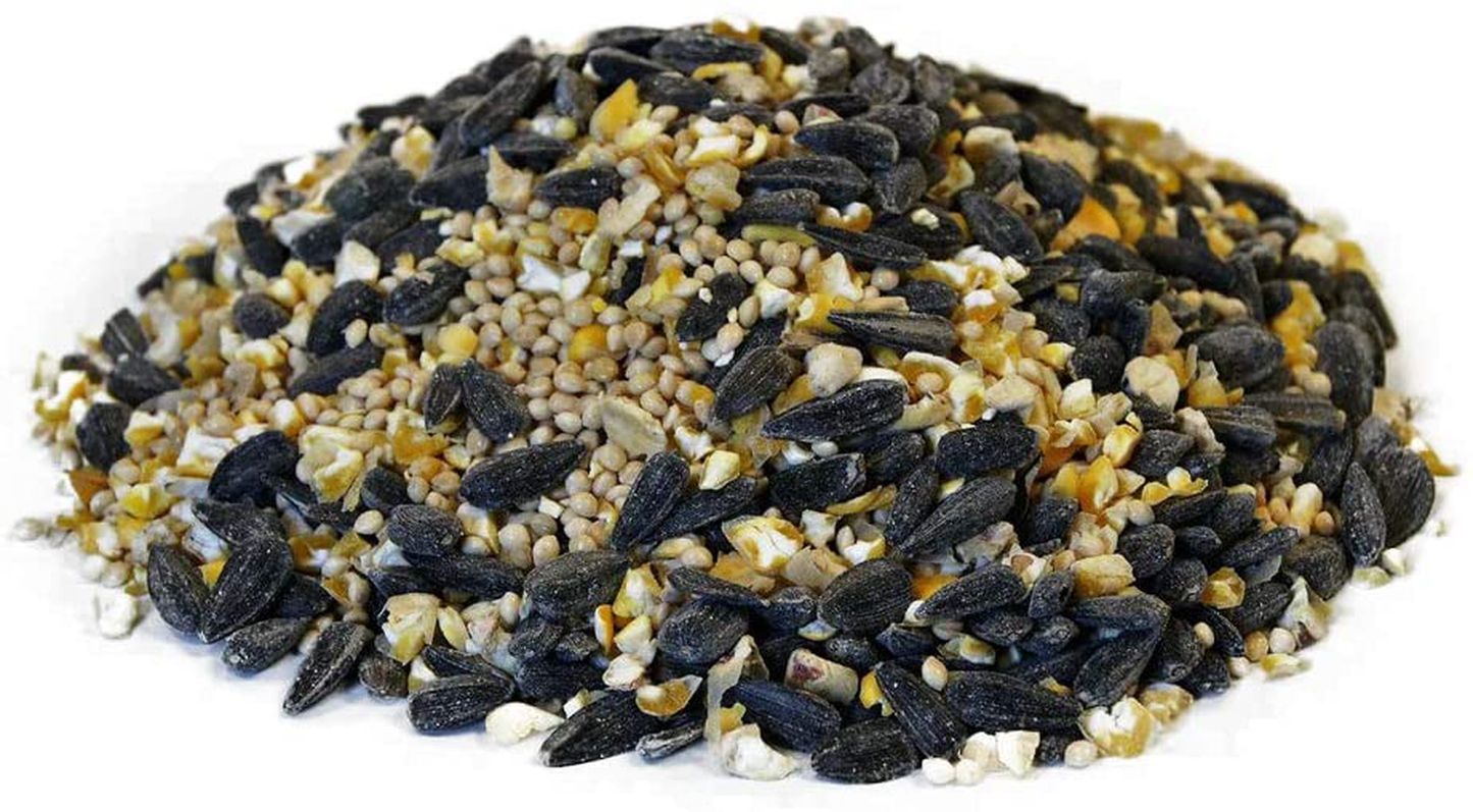 Countrymax Songbird Wild Bird Seed 50 Pounds Animals & Pet Supplies > Pet Supplies > Bird Supplies > Bird Food CountryMax   