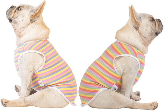 Cutebone Dog Shirts Striped 2-Pack Soft Cotton Pet Clothes Breathable Summer Vest for Small Puppy and Cat Apparel Stretchy, Yellow&Purple Animals & Pet Supplies > Pet Supplies > Cat Supplies > Cat Apparel CuteBone Striped 4(Pack of 2) XS(Chest Girth12’’-12.5’’ Back Length7.5’’-8’’) 