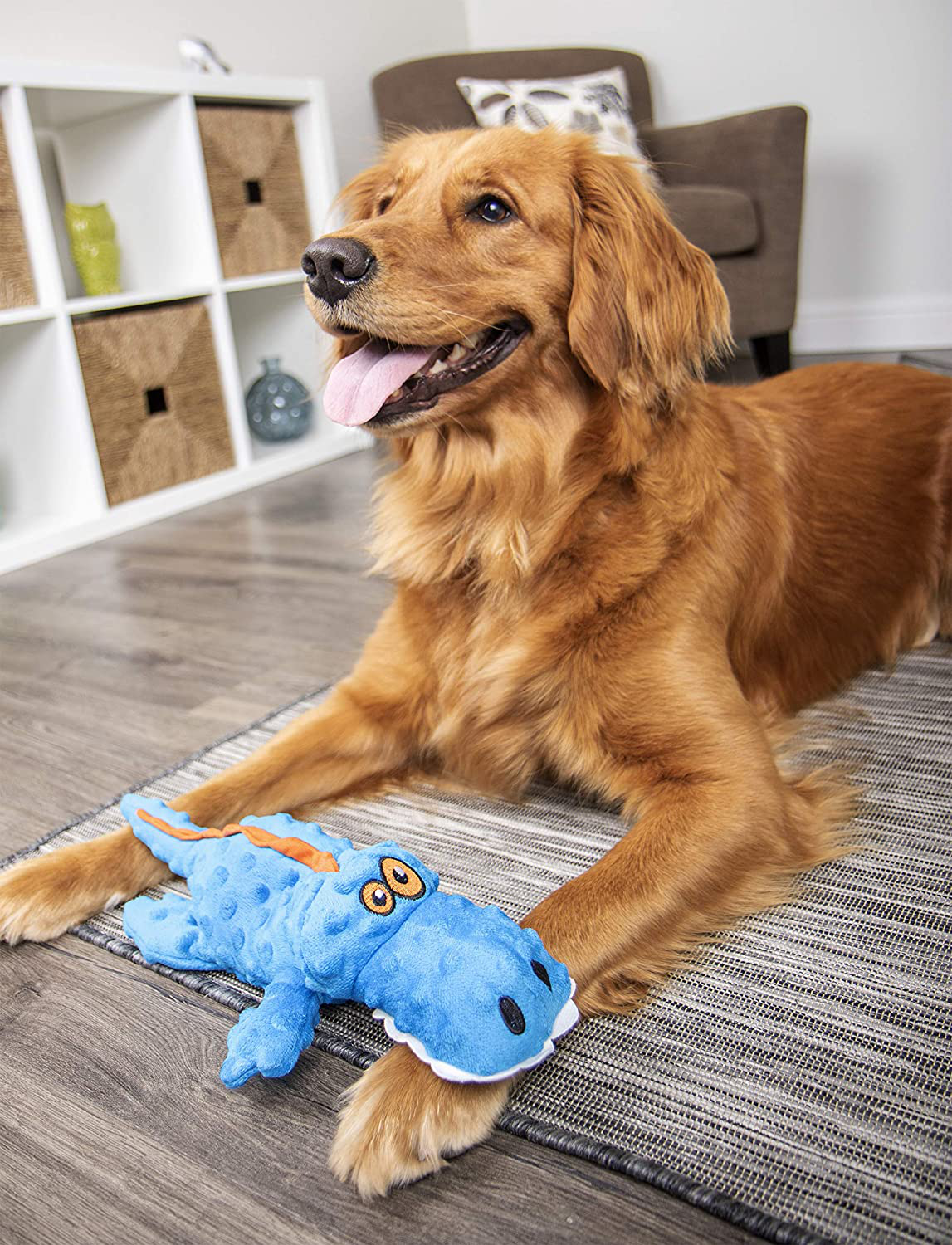 Godog Gators Squeaker Dog Toy with Chew Guard Technology Tough Plush Dog Toy Reinforced Seams Animals & Pet Supplies > Pet Supplies > Dog Supplies > Dog Toys goDog   