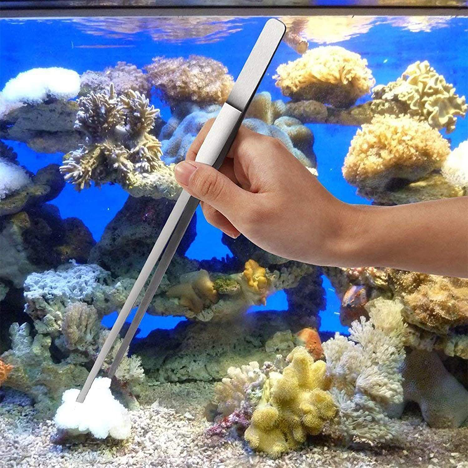 Fistoy Aquarium Scissor Tweezers Spatula Tool - 4 in 1 Stainless Steel Aquatic Plants Aquascaping Tools Set for Fish Starter Kits & Aquariums Tank