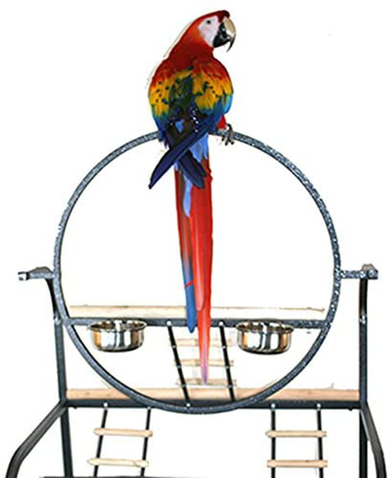 Mcage Large O Wrought Iron Parrot Bird Play Gym Ground Seed Skirts Stand White Vein Animals & Pet Supplies > Pet Supplies > Bird Supplies > Bird Gyms & Playstands Mcage   