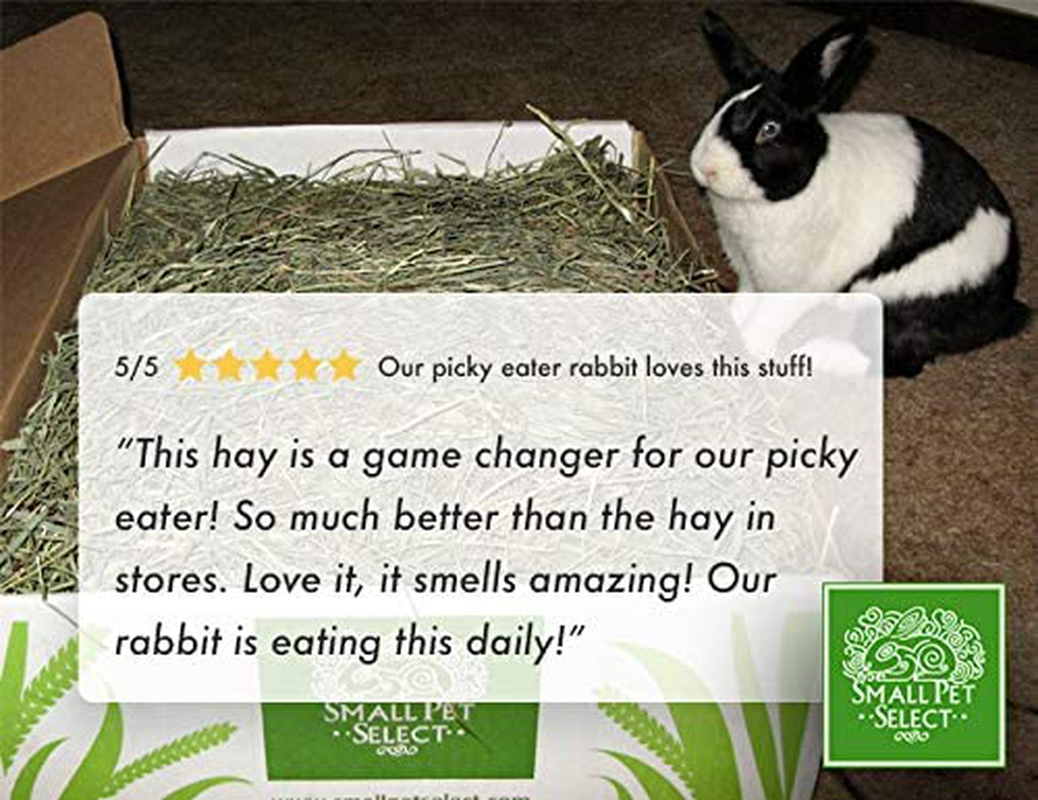 Small Pet Select Orchard Grass Hay Pet Food Animals & Pet Supplies > Pet Supplies > Small Animal Supplies > Small Animal Food Small Pet Select   