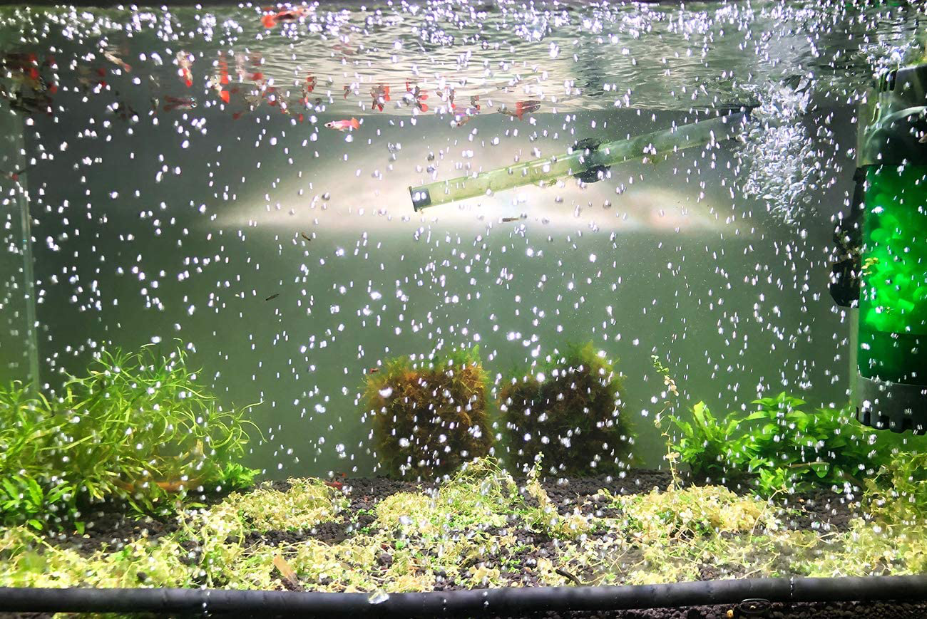 J-Star Aquarium Flexible Rubber Wall Air Curtain Bubble Oxygen Bubble Tube Bendable Bubble Wall Air Diffuser for Fish Tank Animals & Pet Supplies > Pet Supplies > Fish Supplies > Aquarium Air Stones & Diffusers J-star   