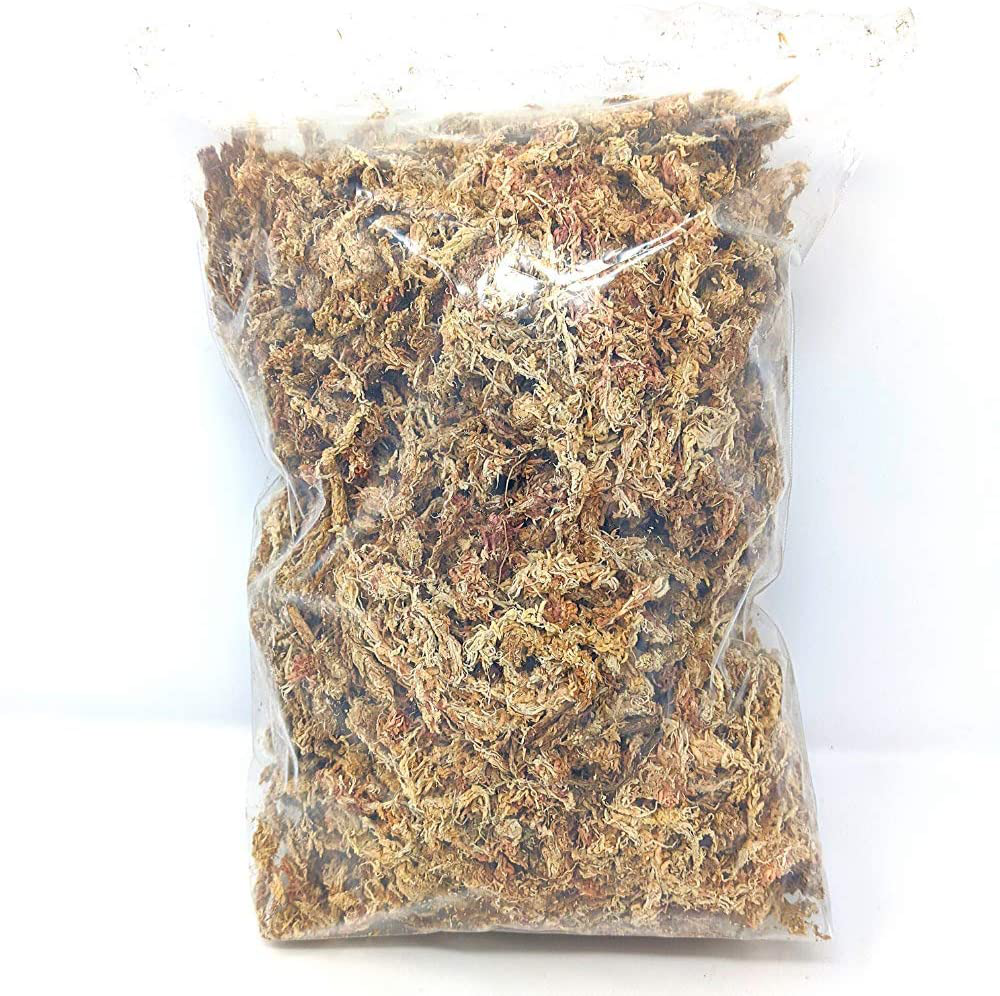 EZ Botanicals Terrarium Sphagnum Moss - 1 Gallon - Great for Reptiles, Amphibians and Insects - Holds Humidity Very Well Animals & Pet Supplies > Pet Supplies > Reptile & Amphibian Supplies > Reptile & Amphibian Substrates EZ Botanicals   