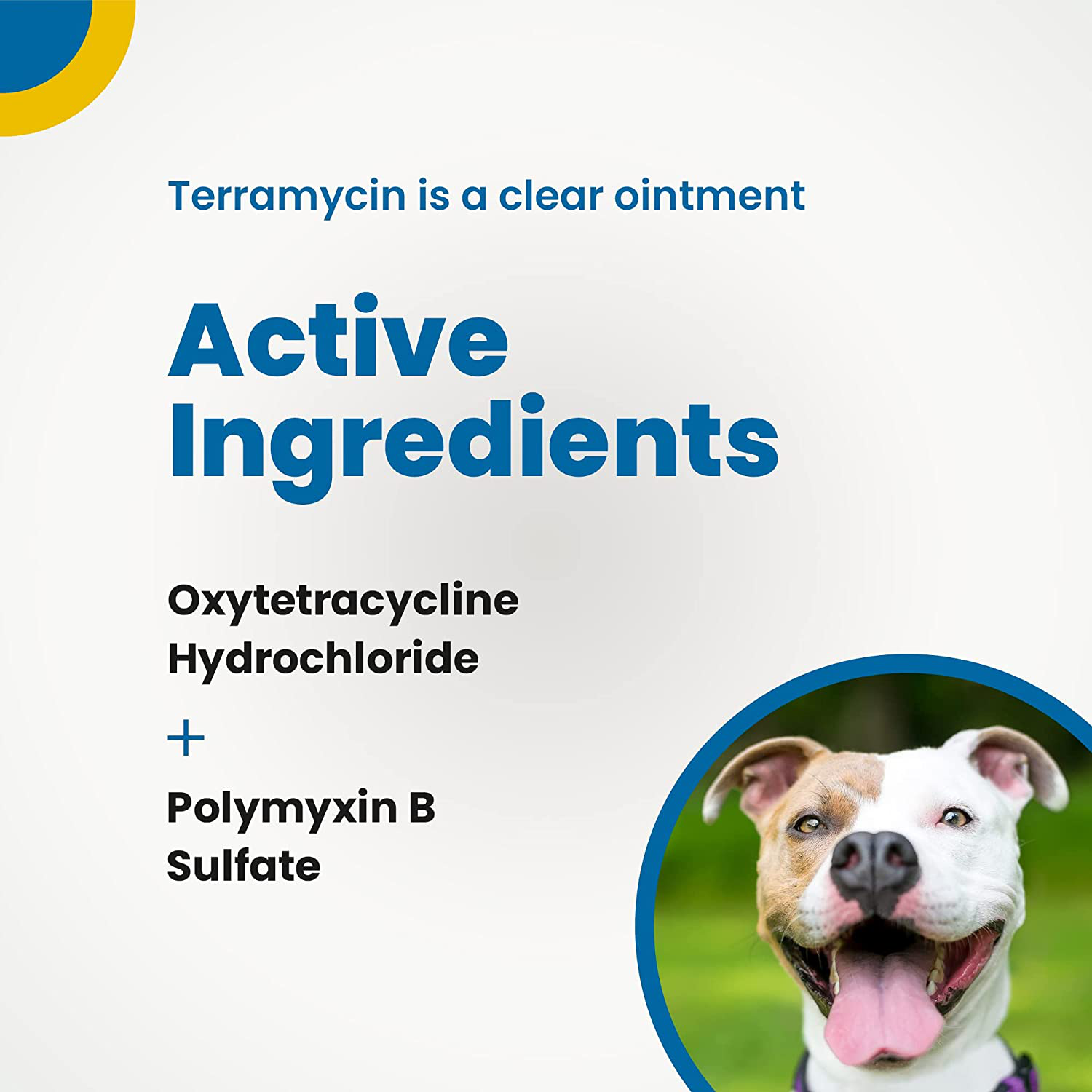 Terramycin Antibiotic Ointment for Eye Infection Treatment in Dogs, Cats, Cattle, Horses, and Sheep, 0.125Oz Tube Animals & Pet Supplies > Pet Supplies > Bird Supplies > Bird Treats Terramycin   