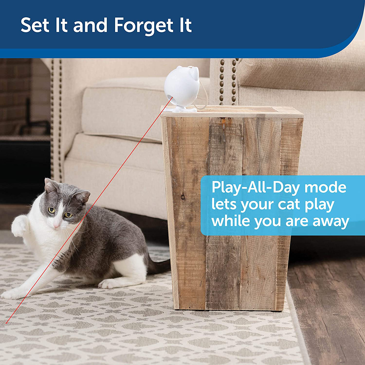 Petsafe Dancing Dot - Laser Pointer Cat Toy / Dog Toy - Automatic Cat Laser Toy: for Elevated Surfaces, Cat Anxiety Relief, Hands Free, Auto Shutoff, Battery Operated, Laser Safe - Interactive Cat Toy Animals & Pet Supplies > Pet Supplies > Dog Supplies > Dog Treadmills Radio Systems Corporation   