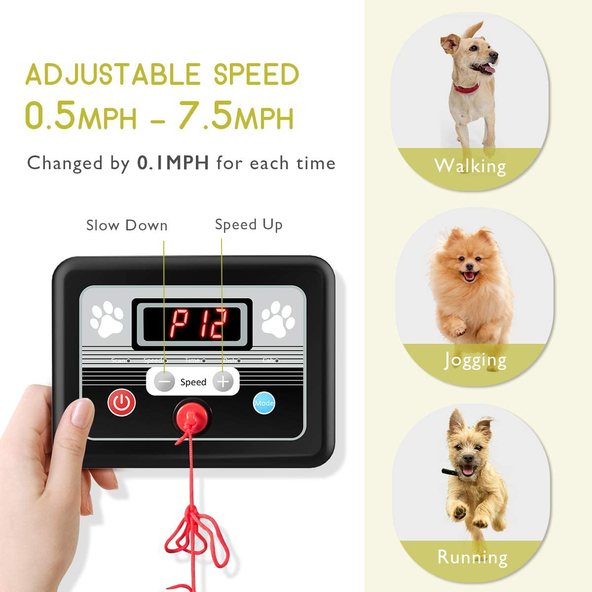 Petsite Pet Treadmill Indoor Exercise For Dogs Pet Exercise