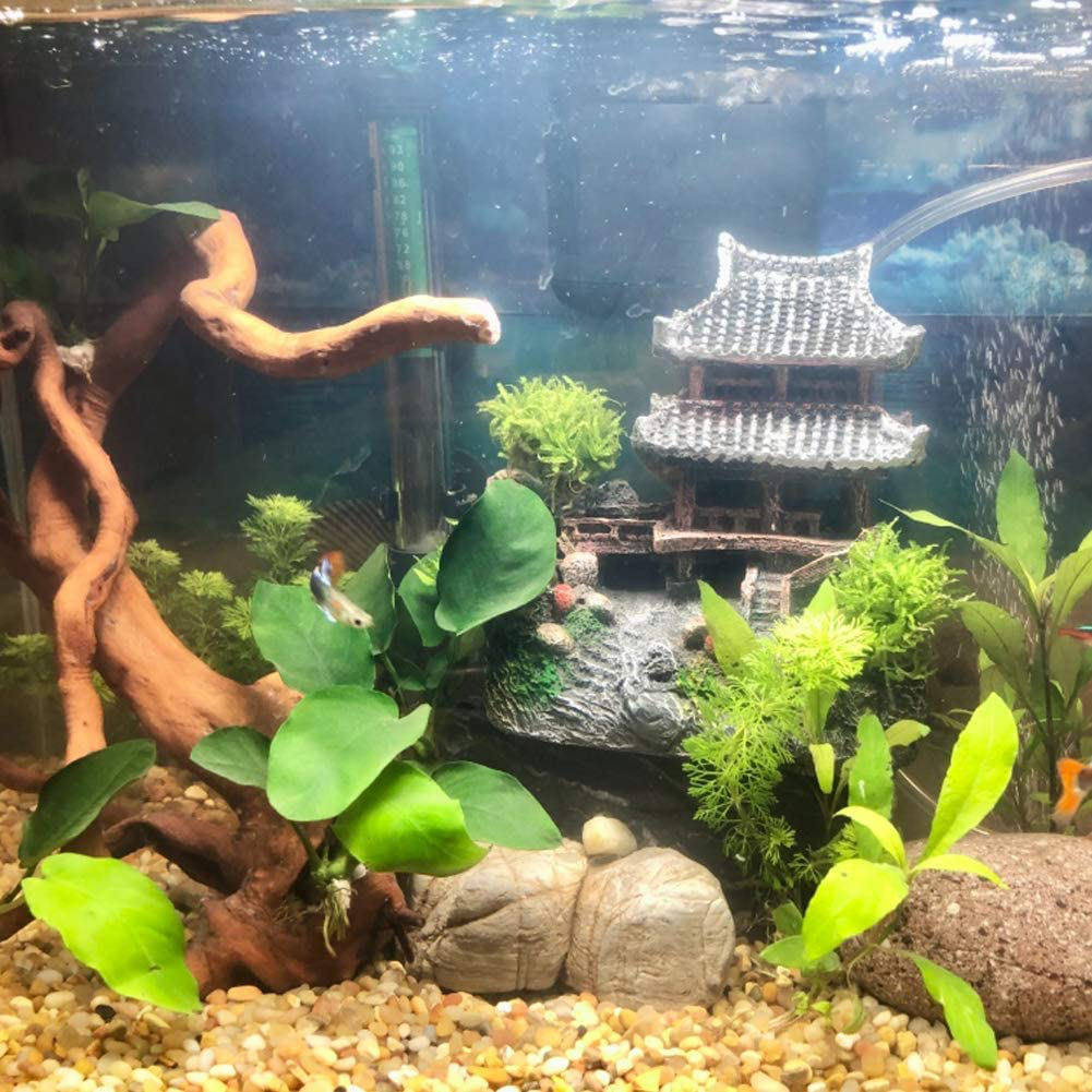 Betta fish castle hot sale