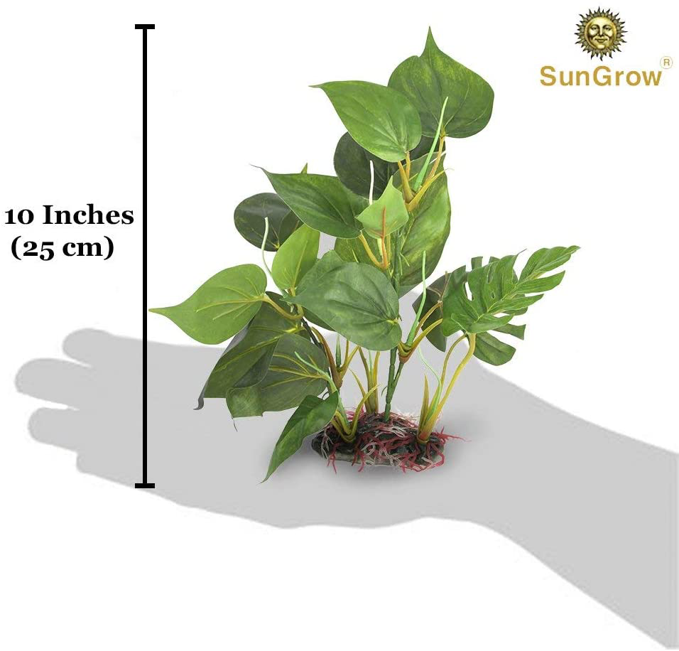 Sungrow Plastic Anubias Plant for Crested Gecko, 10 Inches Tall, Resin Base, Hiding Spot for Reptiles, Amphibians, 1 Piece per Pack Animals & Pet Supplies > Pet Supplies > Reptile & Amphibian Supplies > Reptile & Amphibian Substrates SunGrow   