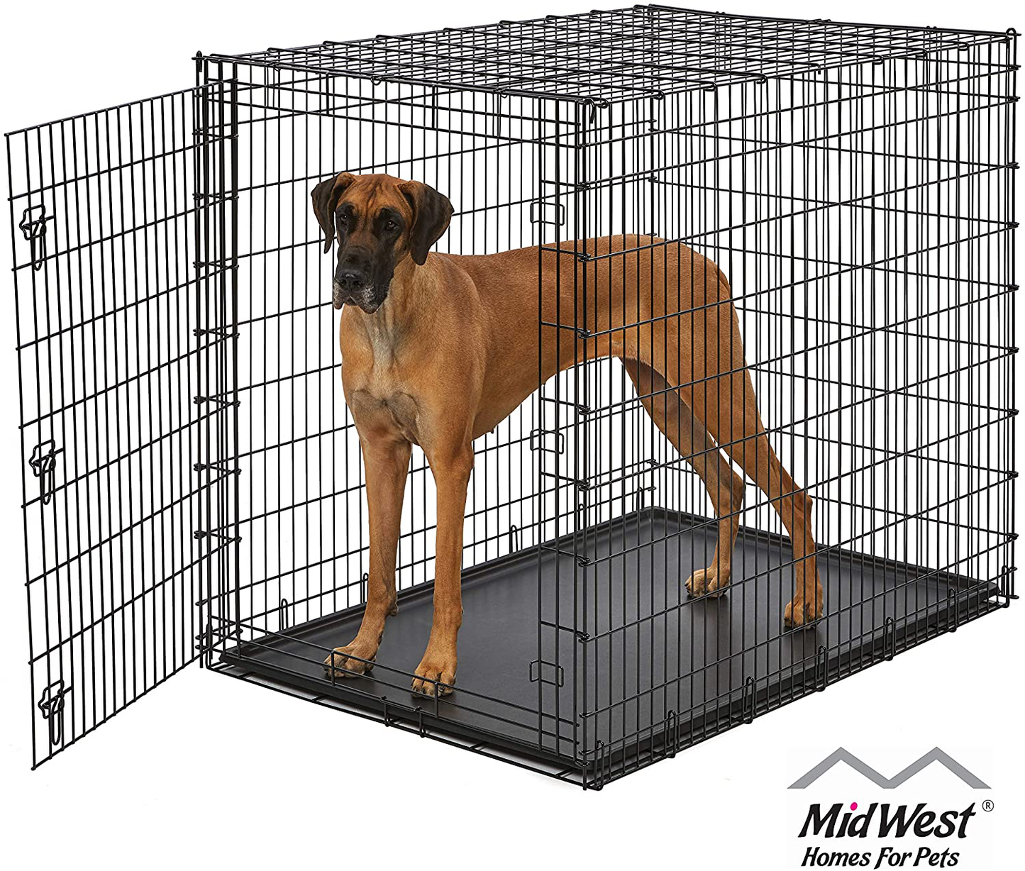 Midwest Homes for Pets XXL Giant Dog Crate | 54-Inch Long Ginormous Dog Crate Ideal for a Great Dane, Mastiff, St. Bernard & Other XXL Dog Breeds