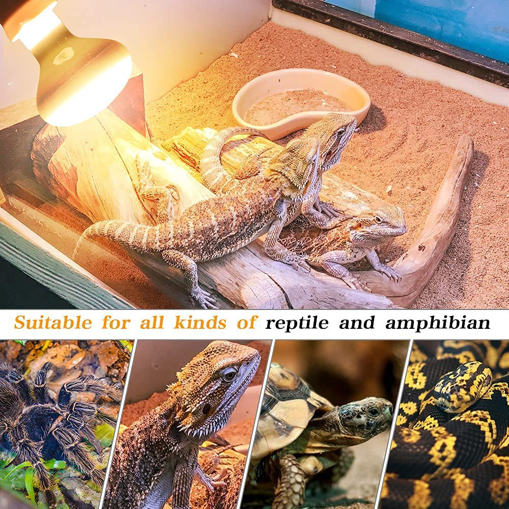 MCLANZOO Reptile Heat Bulb 100W 2 Pack UVA Light Lamp for Lizard, Tortoise, Bearded Dragon, Stick-On Digital Temperature Thermometer, White