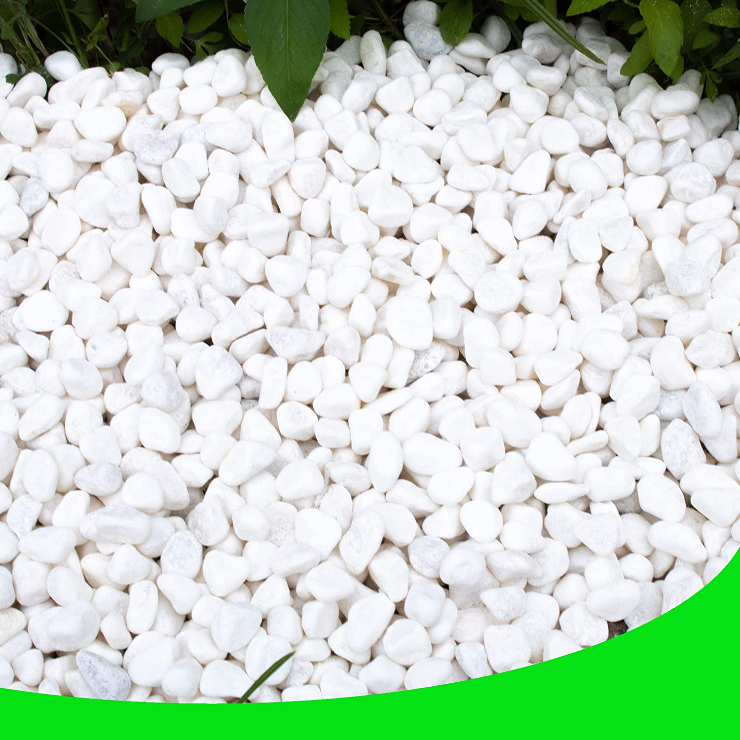 White Pebbles for Plants Garden Vases 7 lb White Rocks Gravel Decorative  Stone 1/2