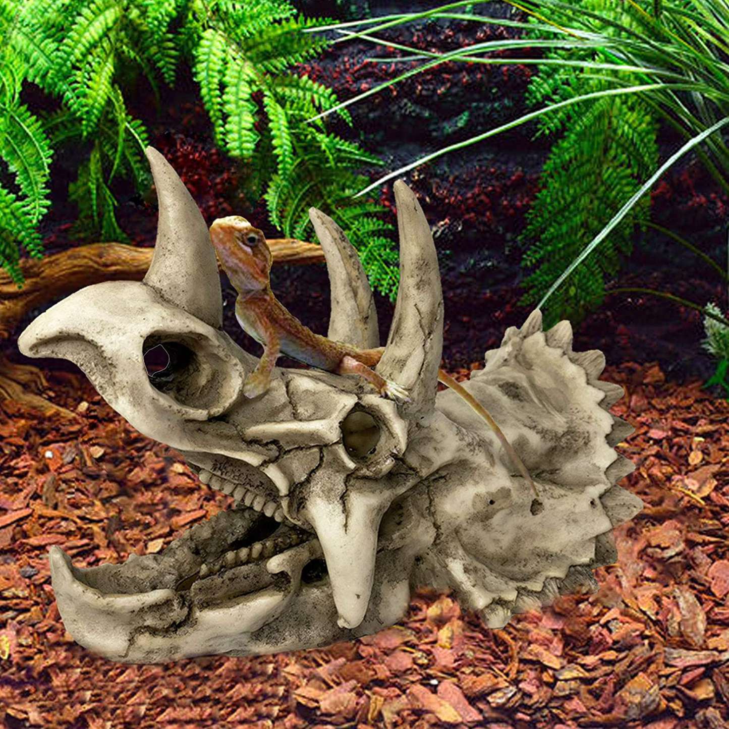 Kathson Large Resin Dinosaur Triceratops Skull Décor Aquarium Decoration Reptiles Hideout Fish Tank Ornament Home Landscape Decor Animals & Pet Supplies > Pet Supplies > Fish Supplies > Aquarium Decor kathson   