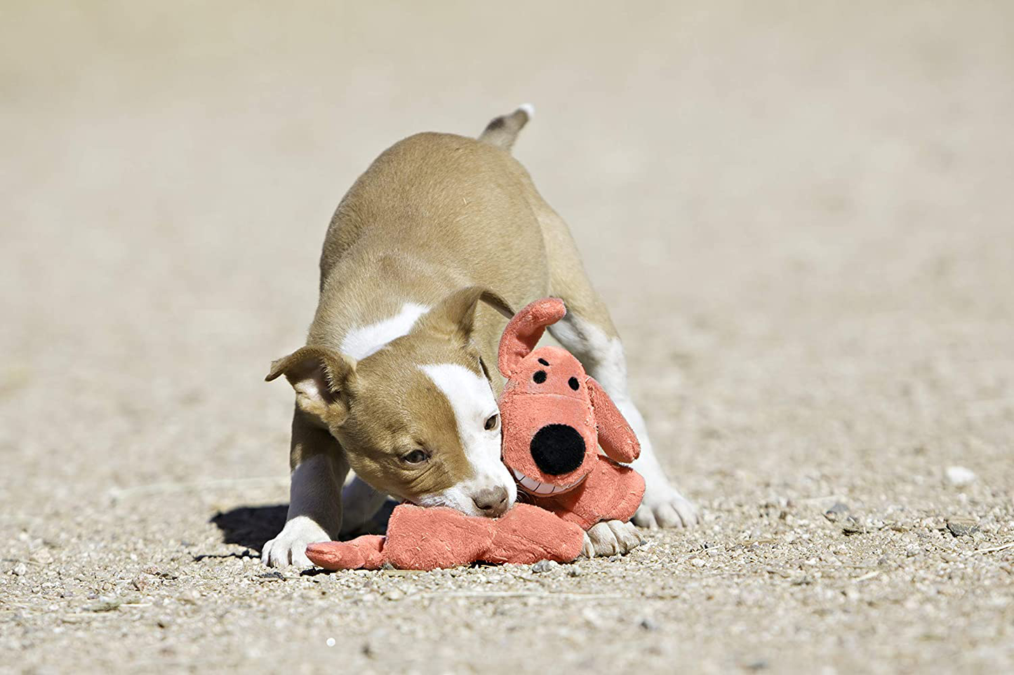 Multipet Loofa Dog Plush Dog Toy (Colors May Vary) Animals & Pet Supplies > Pet Supplies > Dog Supplies > Dog Toys Multipet   