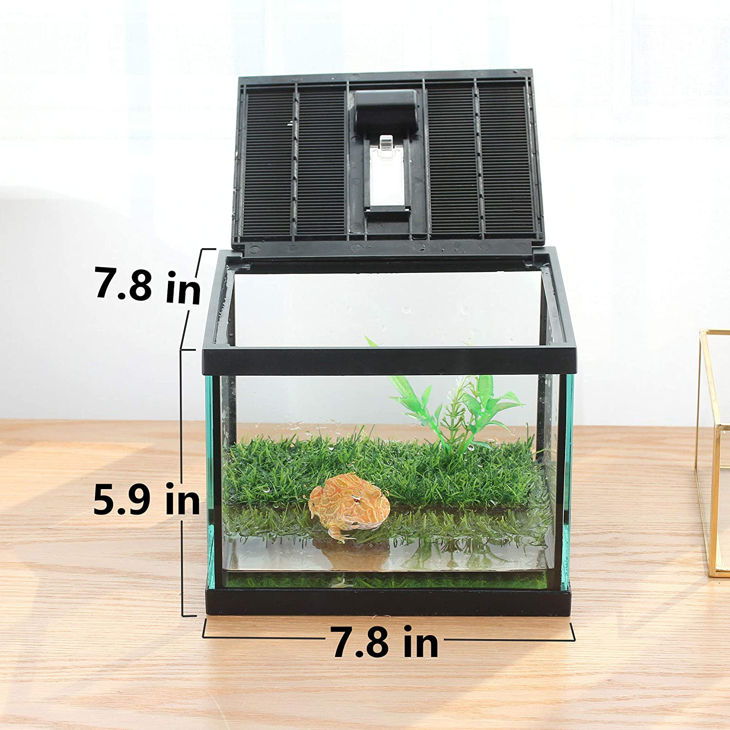 Crapelles Pac Frogs Glass Terrarium Feeding Kit Tank, Waterproof,For Small Amphibians, Insect, Horned Frogs. Waterweed / Prairie Style Habitat,With Green Artificial Turf Pad, (Excluding Animals) Animals & Pet Supplies > Pet Supplies > Reptile & Amphibian Supplies > Reptile & Amphibian Substrates crapelles   