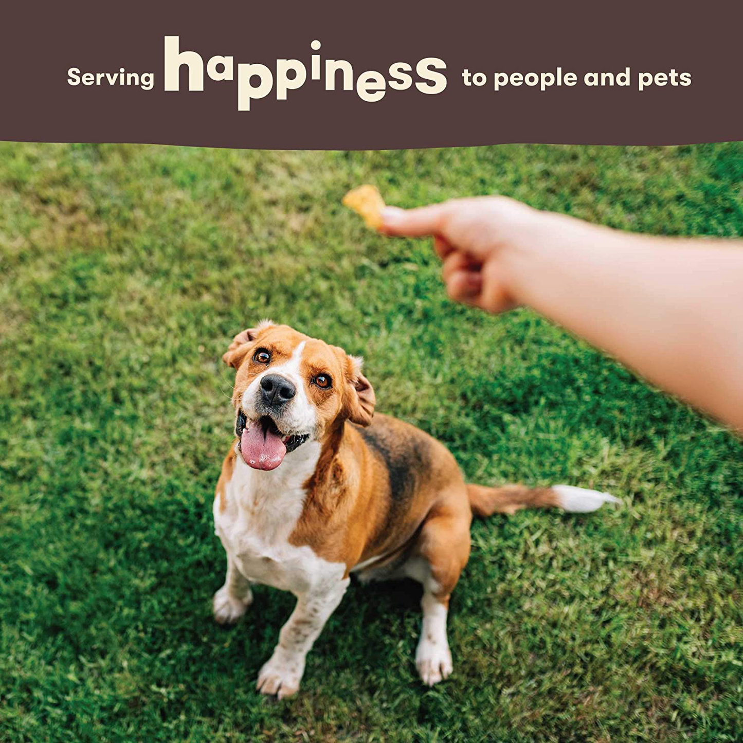 Pet 'N Shape Rice Dumbbells Natural Dog Treats Animals & Pet Supplies > Pet Supplies > Dog Supplies > Dog Treats Pet 'n Shape   
