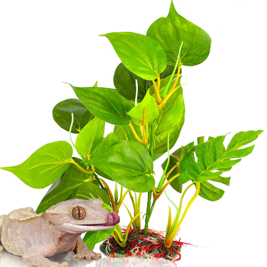 Sungrow Plastic Anubias Plant for Crested Gecko, 10 Inches Tall, Resin Base, Hiding Spot for Reptiles, Amphibians, 1 Piece per Pack Animals & Pet Supplies > Pet Supplies > Reptile & Amphibian Supplies > Reptile & Amphibian Substrates SunGrow   